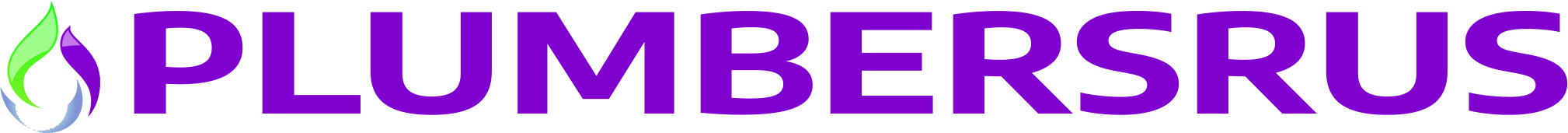 website logo